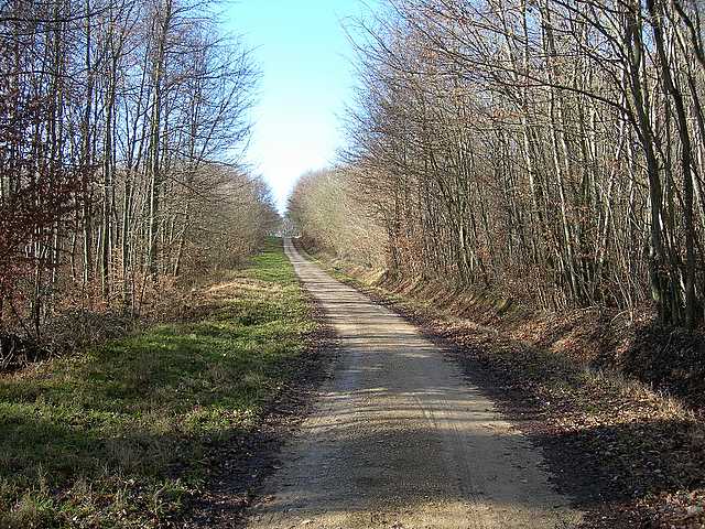 Hagenthal  (FRA)    17 Febbraio  2006
